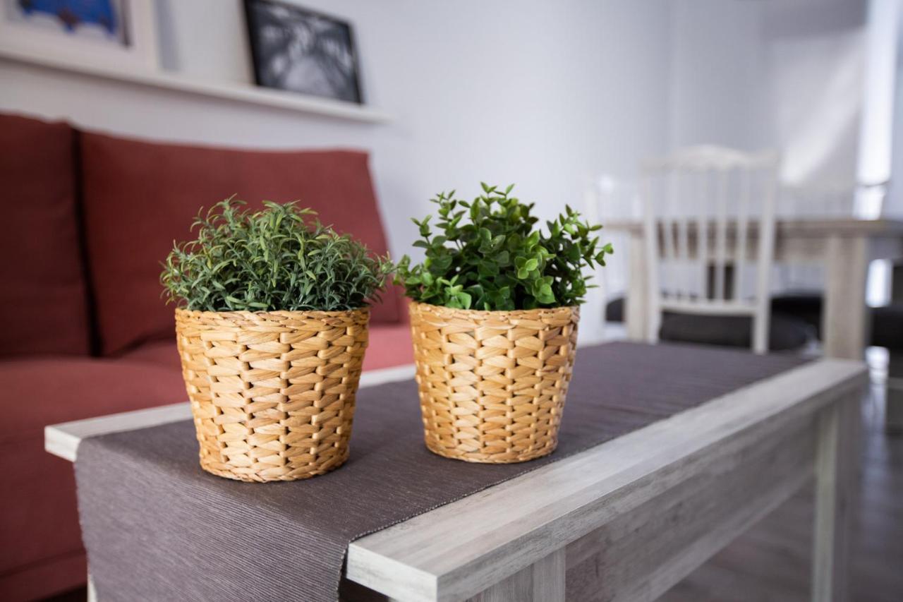 קורדובה Apartamento Turistico Mis Rayitos מראה חיצוני תמונה